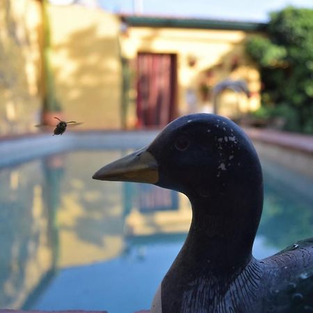 Casa Rural Don Alvaro De Luna Dış mekan fotoğraf