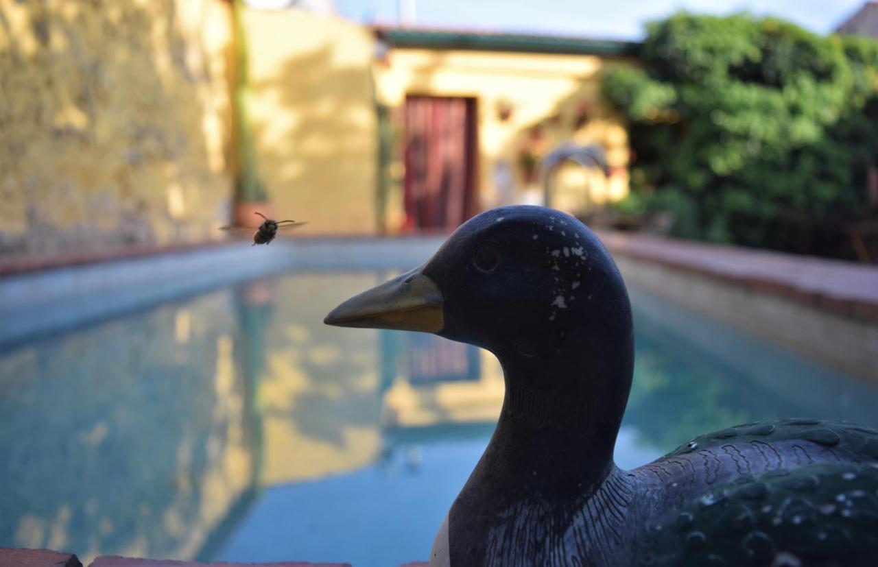 Casa Rural Don Alvaro De Luna Dış mekan fotoğraf